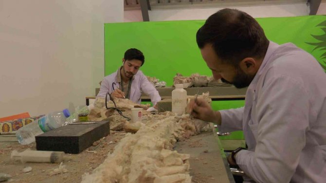 7.5 Milyon Yıllık Kazılarda Hedef Primat Bulmak