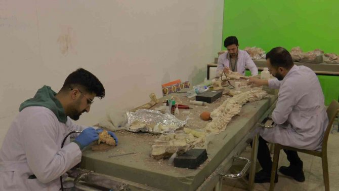 7.5 Milyon Yıllık Kazılarda Hedef Primat Bulmak