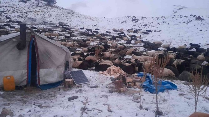 Artvin’de Besicilerin Zorlu Kış Şartlarıyla Mücadelesi