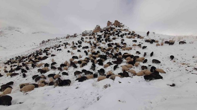 Artvin’de Besicilerin Zorlu Kış Şartlarıyla Mücadelesi