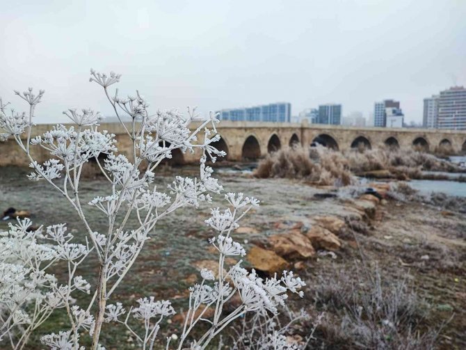 Sivas’ta Kırağı Güzelliği