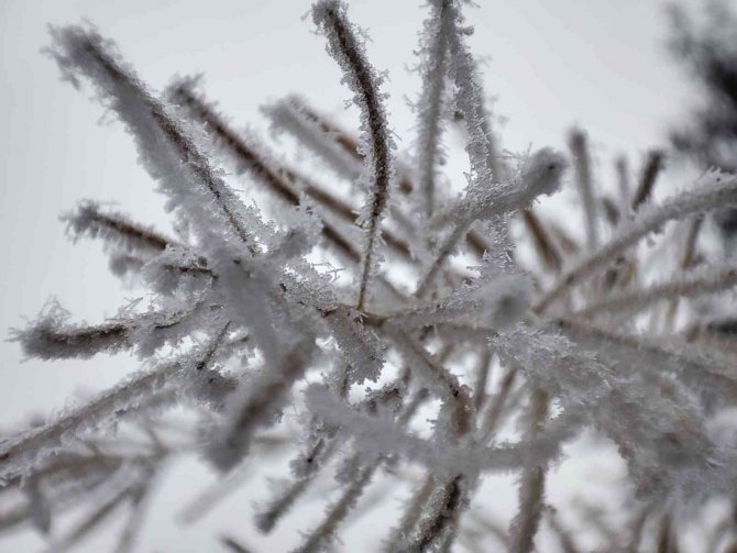 Sivas’ta Kırağı Güzelliği