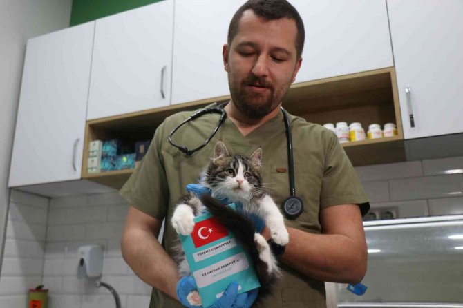 6 Gün Sonra Süre Doluyor: Veteriner Hekimler Ek Süre İstedi