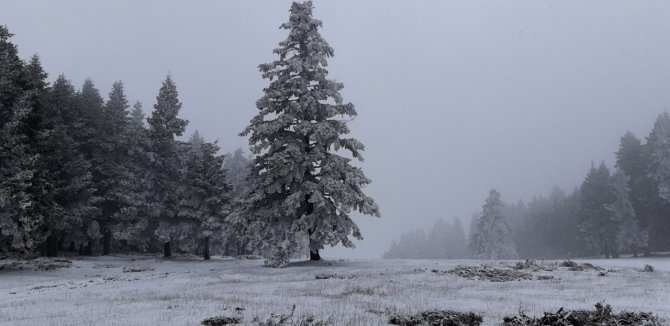 Abant Tabiat Parkı’nda Kar Yağışı Başladı