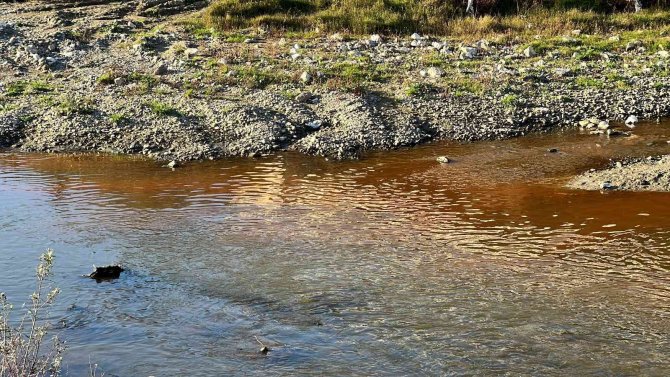 Çayı Kirletip Balık Ölümüne Sebep Olan Firmaya 66 Bin Lira Ceza Kesildi