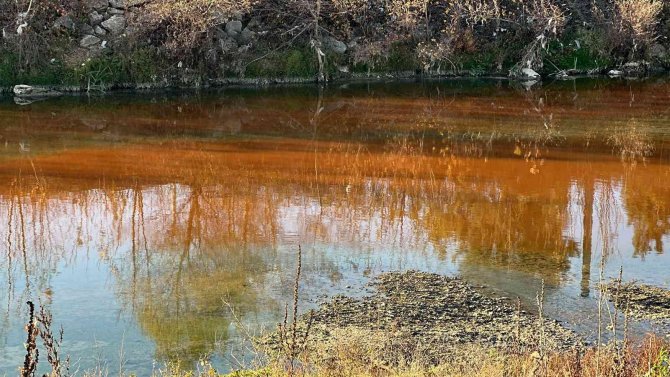 Çayı Kirletip Balık Ölümüne Sebep Olan Firmaya 66 Bin Lira Ceza Kesildi