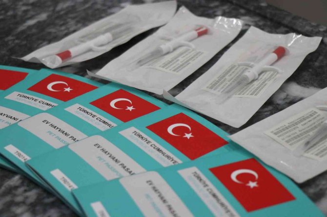 6 Gün Sonra Süre Doluyor: Veteriner Hekimler Ek Süre İstedi