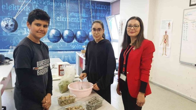 Doğal Bitkilerden Saç Boyası Ürettiler