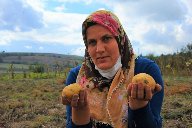 Samsun’da 2022 Yılında Tarıma 9 Milyon Lira Destek