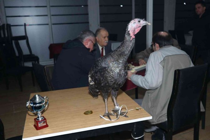 45 Yıllık Gelenek ’Baba Hindi’li Okey Turnuvası