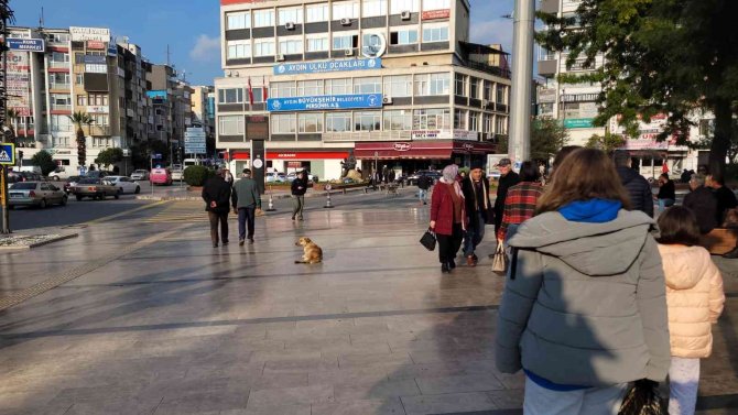 Aydınlılar Hafta Sonu Güneşin Tadını Çıkardı