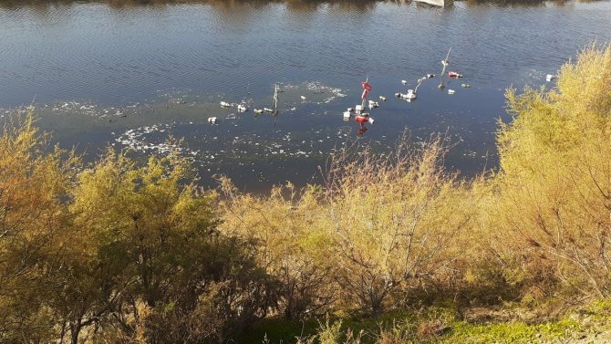 Büyük Menderes Nehri Çöp Akıyor