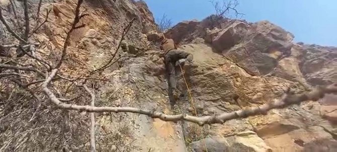 Siirt’te Kayalıklarda Mahsur Kalan 2 Keçi Kurtarıldı