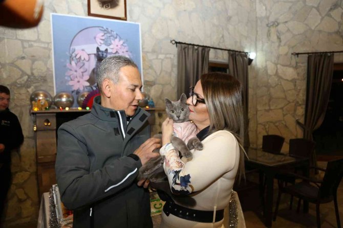 Ayvalık’ta Şanslı Kedi Gümüş’e 5. Doğum Günü Partisi