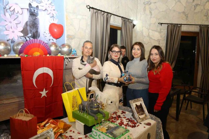 Ayvalık’ta Şanslı Kedi Gümüş’e 5. Doğum Günü Partisi