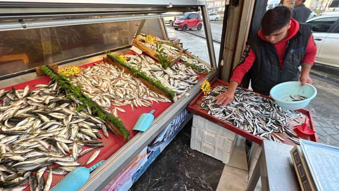 Tezgahlar Hamsi İle Şenlendi