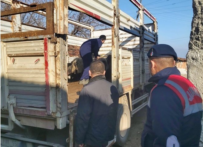 Bilecik’te Sahte Banka Dekontla Hayvan Hırsızlığı Yapan Şahıs Yakalandı