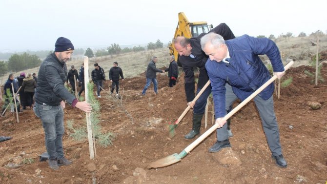 İ̇nönü Üniversitesi’nde Bin Fidan Toprakla Buluşturuldu
