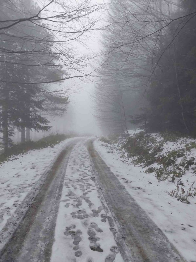 Düzce’nin Yüksek Kesimleri Beyaza Büründü