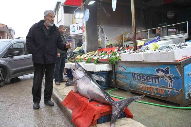 2 Metrelik Kılıç Balığı İlgi Odağı Oldu