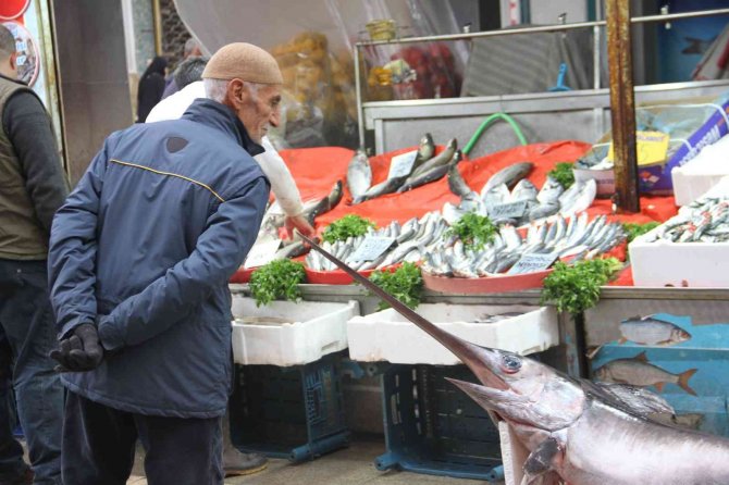 2 Metrelik Kılıç Balığı İlgi Odağı Oldu