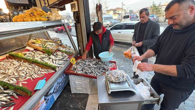 Tezgahlar Hamsi İle Şenlendi