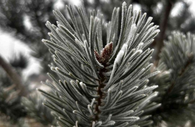 Erzurum Buz Kesti, Hava Sıcaklığı Eksi 7’ye Düştü