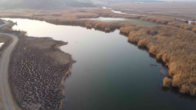 Ağrı Dağı Eteklerinde Yer Alan Karasu’nun Suyu Çekiliyor