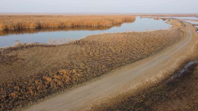 Ağrı Dağı Eteklerinde Yer Alan Karasu’nun Suyu Çekiliyor