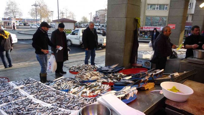 Hamsi Sezonun En Yüksek Fiyatını Gördü