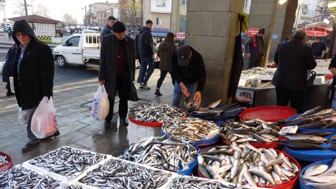 Hamsi Sezonun En Yüksek Fiyatını Gördü
