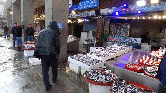 Hamsi Sezonun En Yüksek Fiyatını Gördü