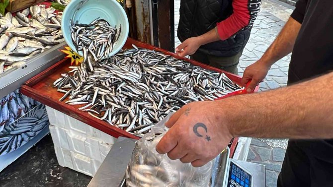 Tezgahlar Hamsi İle Şenlendi