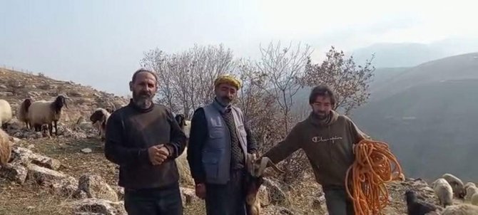 Siirt’te Kayalıklarda Mahsur Kalan 2 Keçi Kurtarıldı