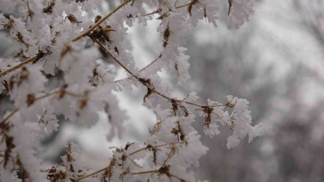 Ardahan Eksi 16,7: Sibirya Soğukları Hayatı Olumsuz Etkiliyor