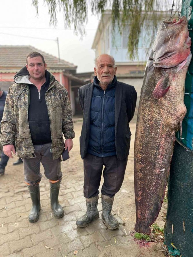 2 Metrelik Balık Oltaya Takıldı: Yoldan Geçen Telefona Sarıldı