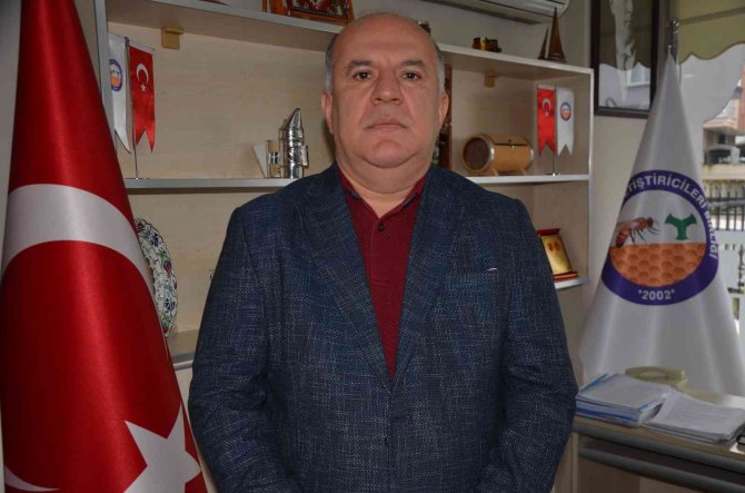 Ordu’da Arıcılık Sektörü Azalıyor