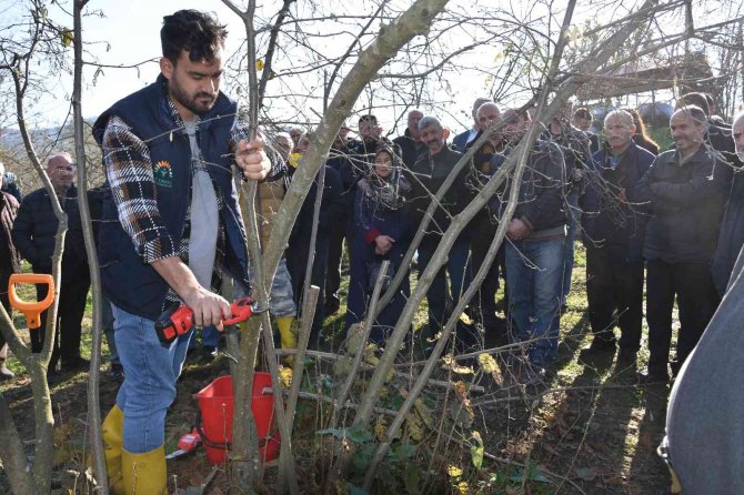 Ordu’da Fındık Üreticilerine İyi Tarımın Önemi Anlatıldı