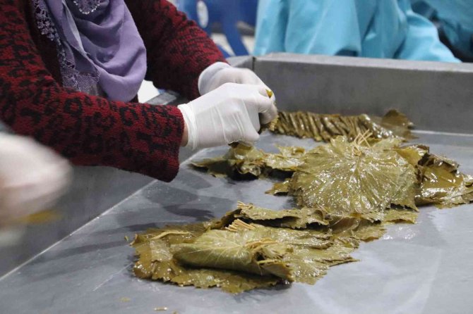 Devlet Destek Verdi, Asma Yaprağı Köylü Kadınların Geçim Kaynağı Oldu