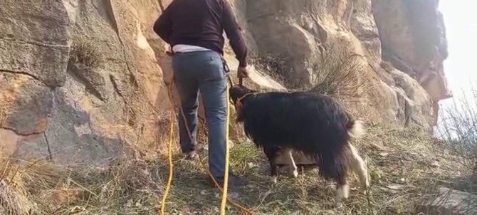 Siirt’te Kayalıklarda Mahsur Kalan 2 Keçi Kurtarıldı