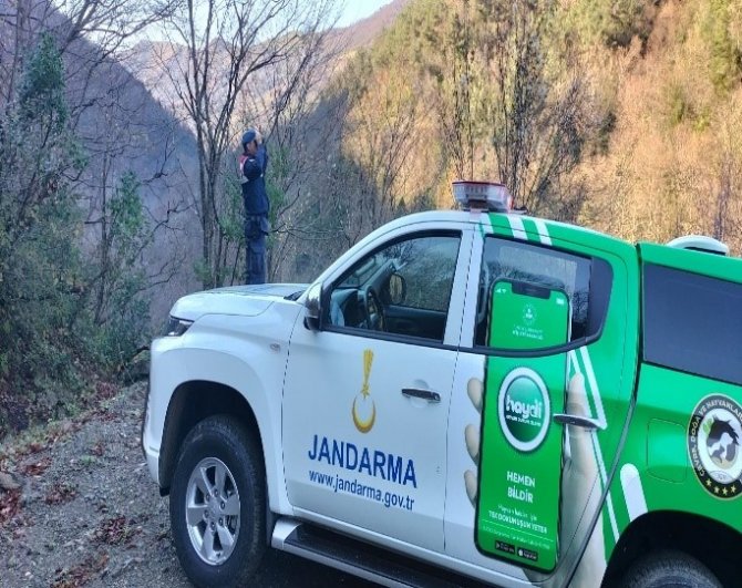 Sinop’ta Jandarmadan Kaçak Avcılık Denetimi