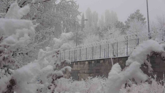 Ardahan Eksi 16,7: Sibirya Soğukları Hayatı Olumsuz Etkiliyor