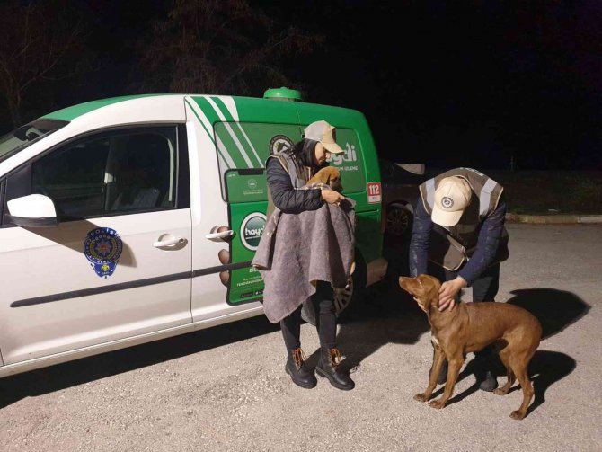 Uşak Polisi Sokak Hayvanlarını Unutmadı