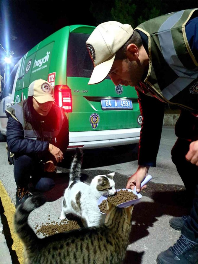 Uşak Polisi Sokak Hayvanlarını Unutmadı