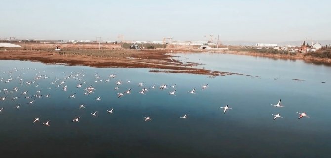 Altınova Belediyesi 10 Binin Üzerinde Doğa Pasaportu Dağıttı