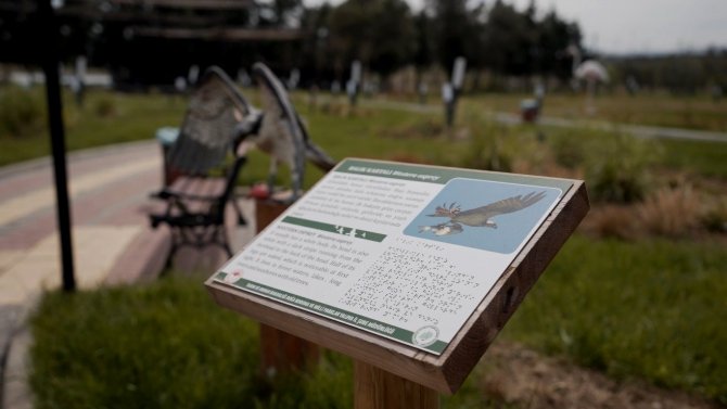 Altınova Belediyesi 10 Binin Üzerinde Doğa Pasaportu Dağıttı