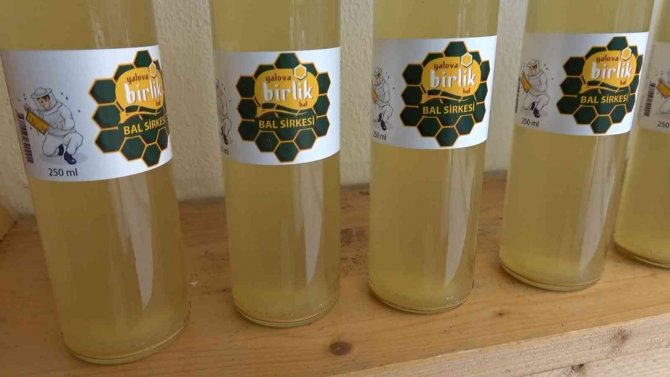 Yalovalı Arıcılar Bal Sirkesi Üretimine Başladı