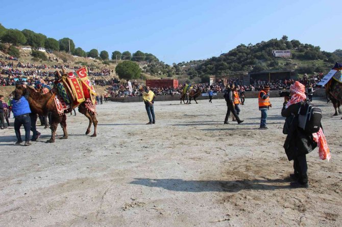 Devecilik Kültürünü Fotoğraflara Yansıtıyor