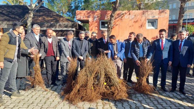 Kahtalı Çiftçilere 10 Bin Nar Fidanı Dağıtıldı