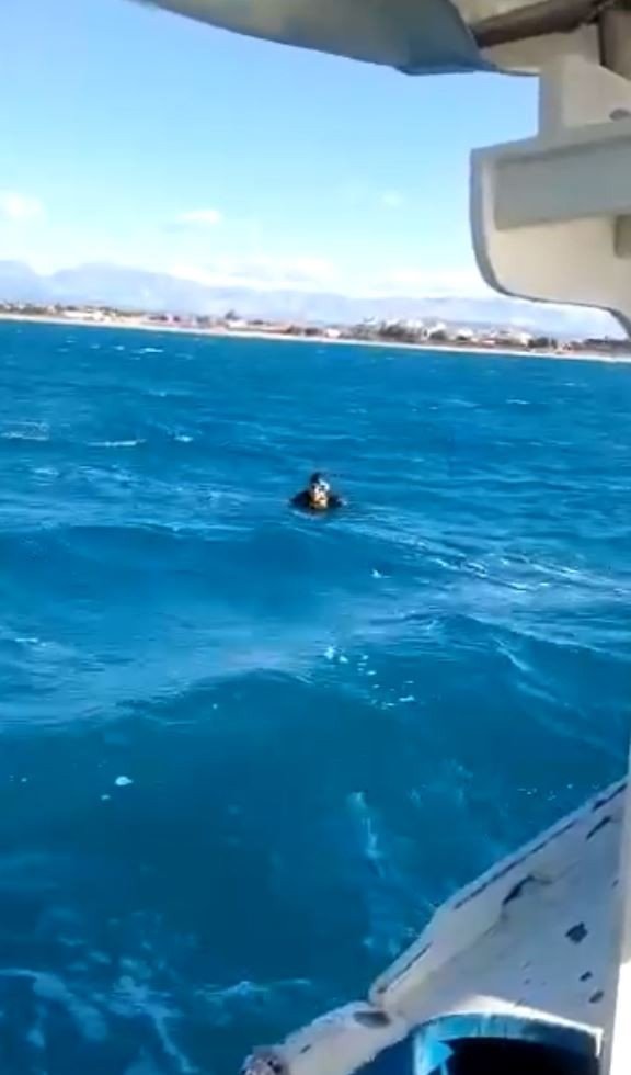 Denizde Boğulma Tehlikesi Geçiren Alman Turistin Kurtarılma Anı Kameraya Yansıdı